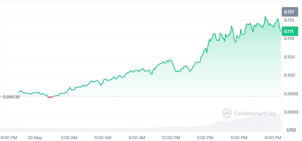 Bubblemaps 29.05.png