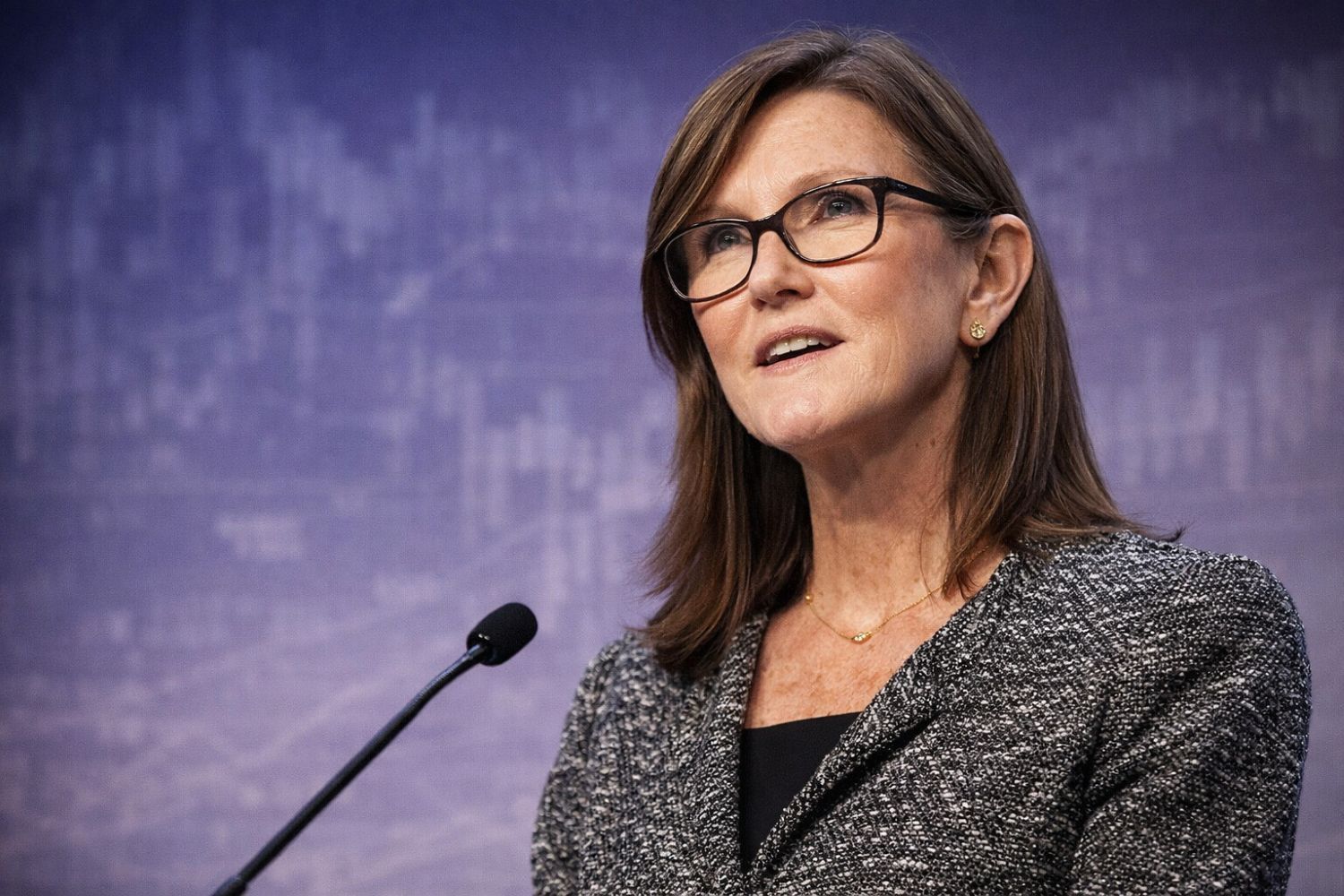 Cathie Wood Says U.S. Economy Is A ‘Coiled Spring’ As AI And Crypto Drive A New Productivity Cycle