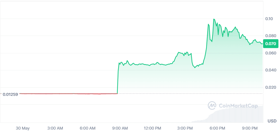 POCKET NETWORK 30.05.png