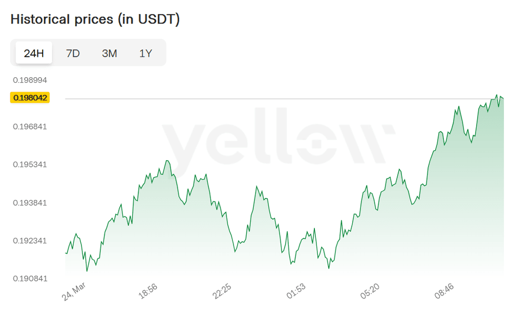 hedera 25-03-2025.png