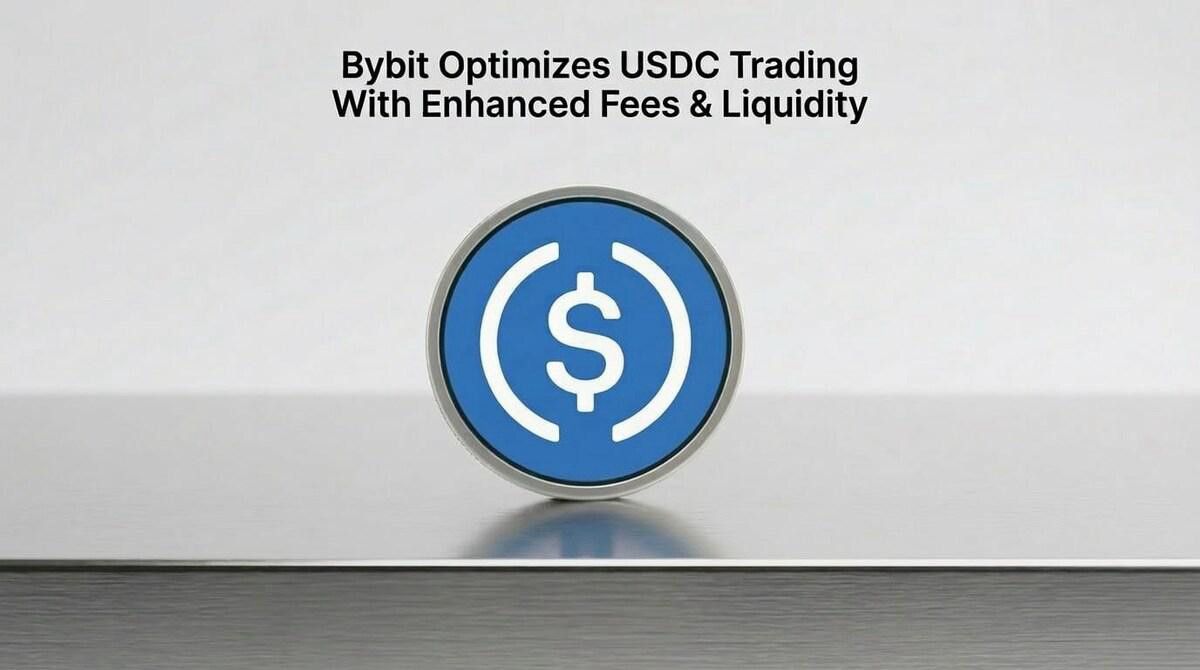 بايبيت تعزّز تداول USDC من خلال هيكل رسوم تنافسي وتحسينات في السيولة