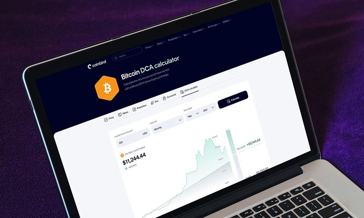 desktop-استثمار-100-دولار-شهرياً-في-البيتكوين-منذ-2015-كان-سيحوّل-13700-دولار-إلى-632000-دولار،-وفقاً-لتحليل-coinbird