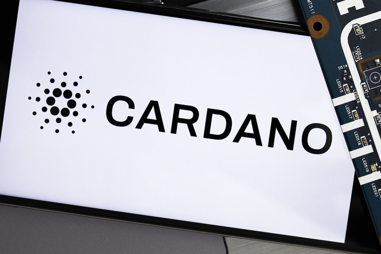 Hoskinson prevê recuperação da Cardano em 2026 com lançamento do protocolo  Midnight e impulso do RealFi | Yellow.com