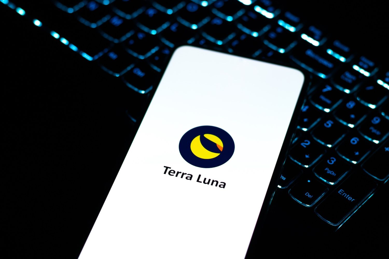 Terra Luna Classic raddoppia di valore dopo il momento virale della t-shirt  alla conferenza di Dubai | Yellow.com