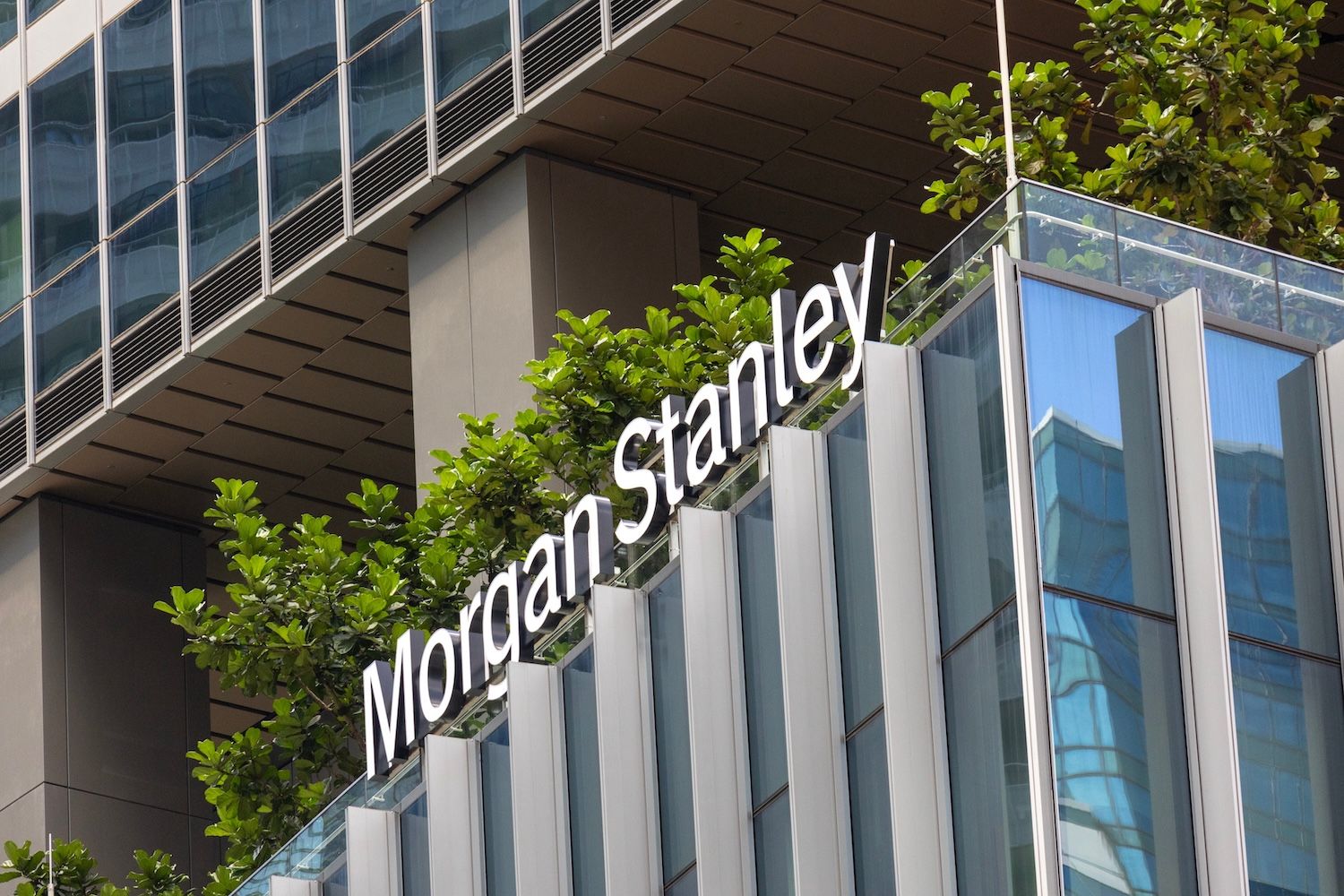 Morgan Stanley Picks Amy Oldenburg To Spearhead Crypto Push | Yellow.com