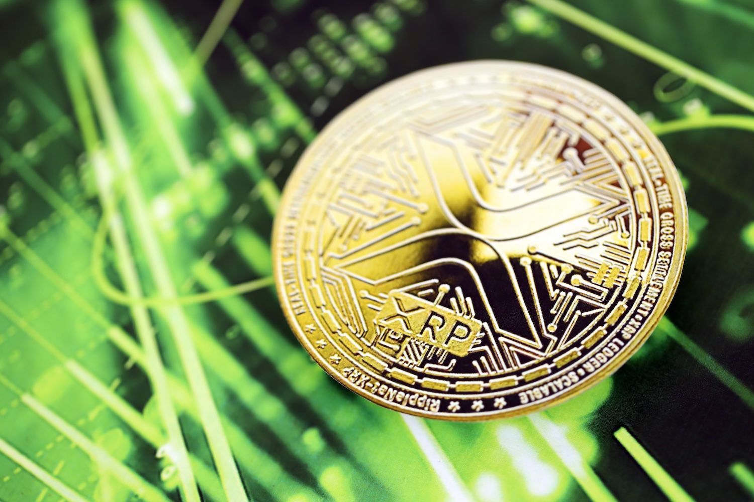 هل فقدت بيتكوين زخم تجارة صناديق الـETF لصالح XRP؟