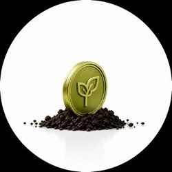 seedcoin